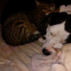 Meet your Posher, Vicki j